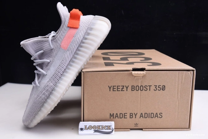 V2 Boost Light Yeezy Tail FX9017 Adidas 350 0805
